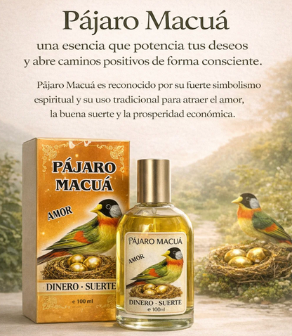(Super 2x1) Pájaro Macuá